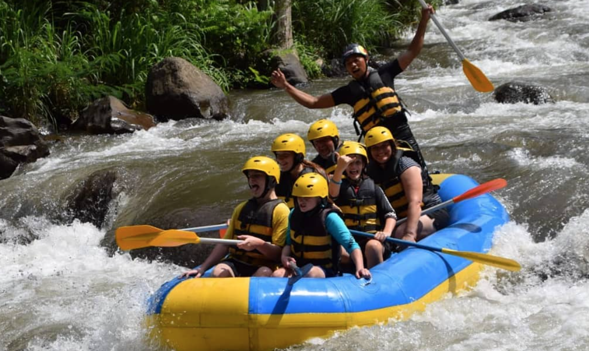 Travel Travel Inspiration Articles, Full Control of Your Tourism Business at Your Fingertips