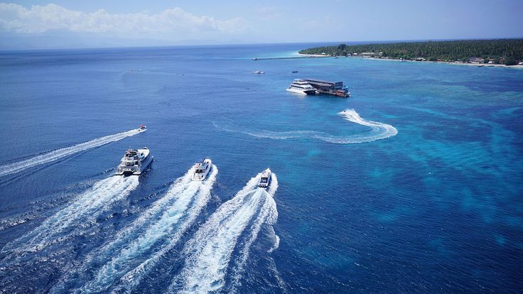 Travel Travel Inspiration Articles, Sailing Fast Through the Sea of Business: Dedicated Booking Solutions for Fast Boat and Ferry Operators